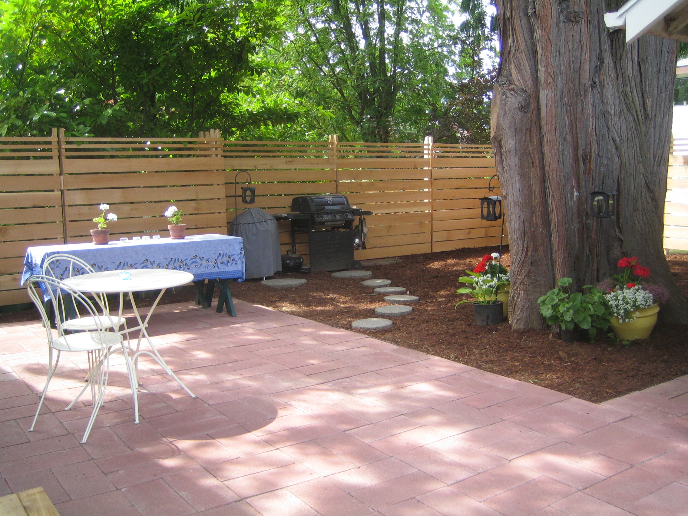 Backyard1