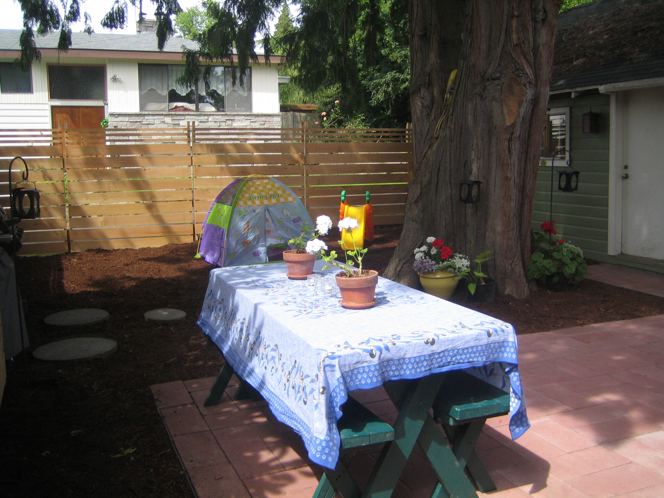 Backyard2